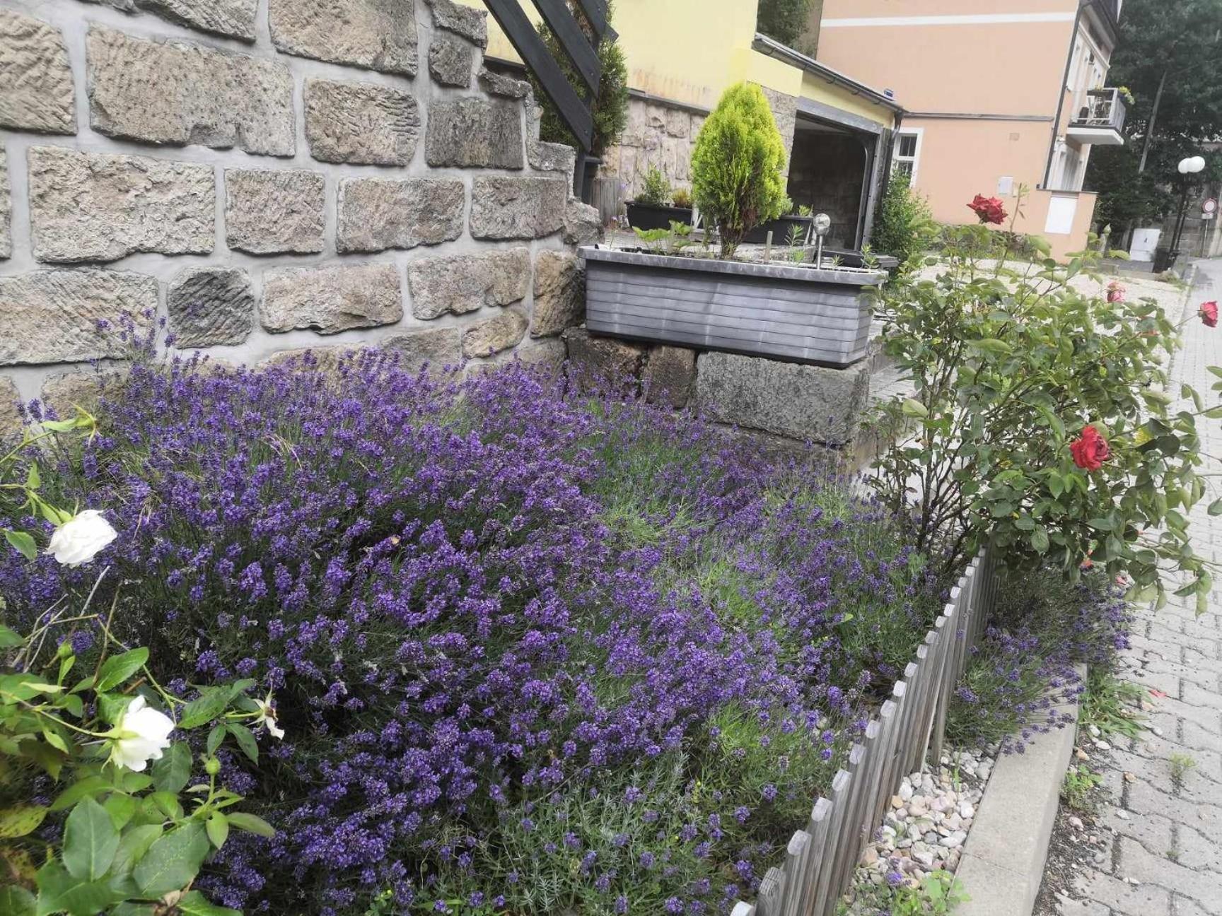 Hrensko32 Apartment Exterior photo